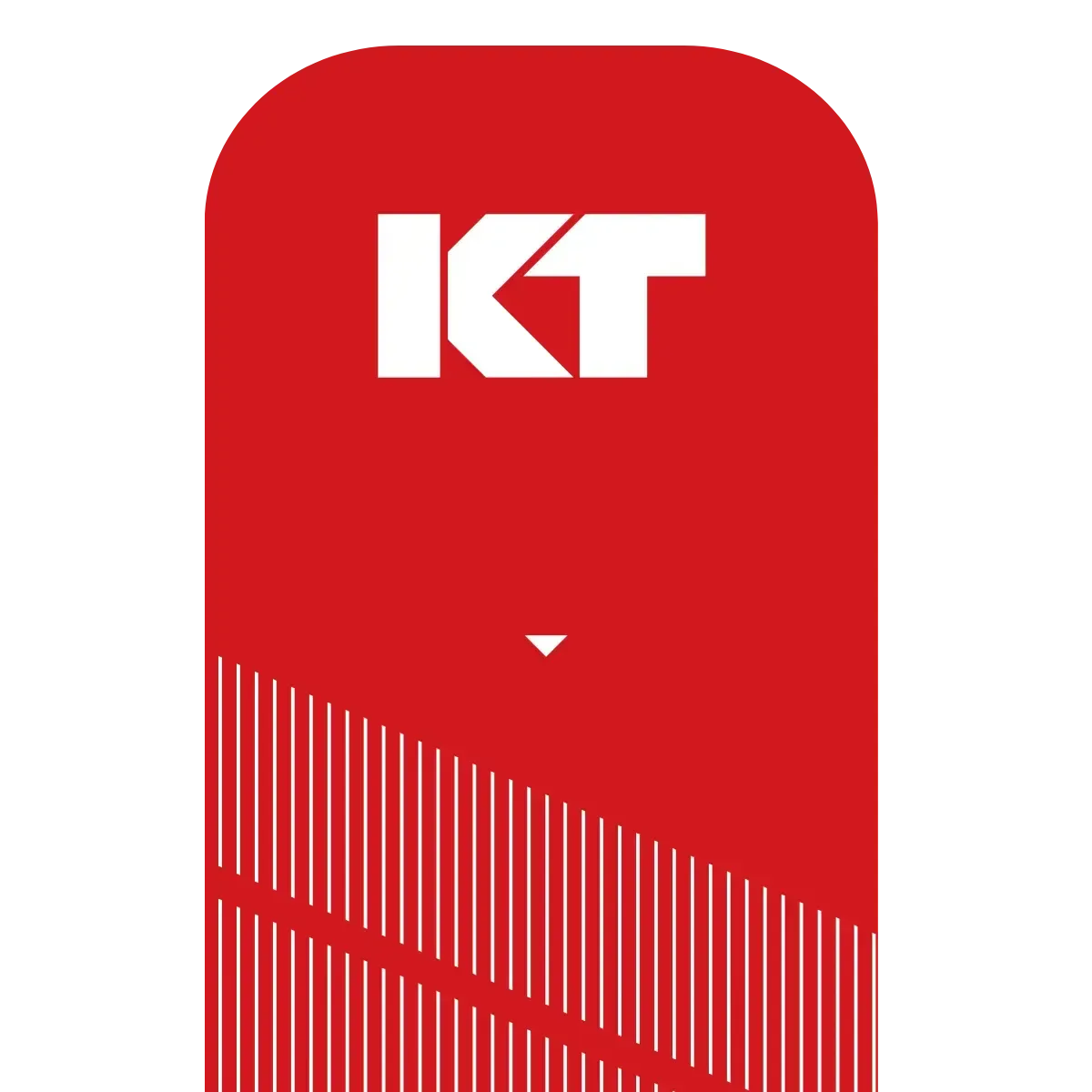 KT Tape Pro kinesiotape strips Jet Black voorgeknipt